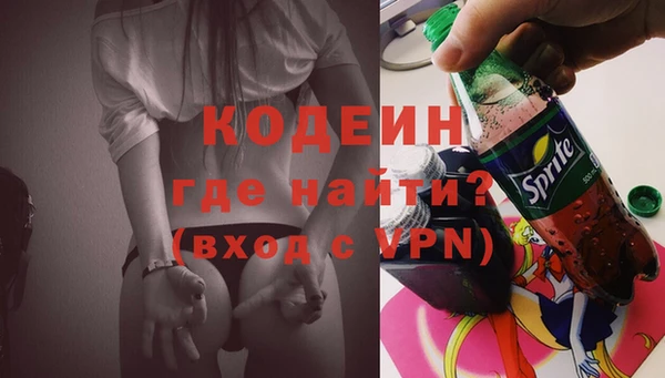 дурь Инсар