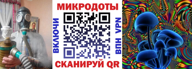 Псилоцибиновые грибы Cubensis  Протвино 