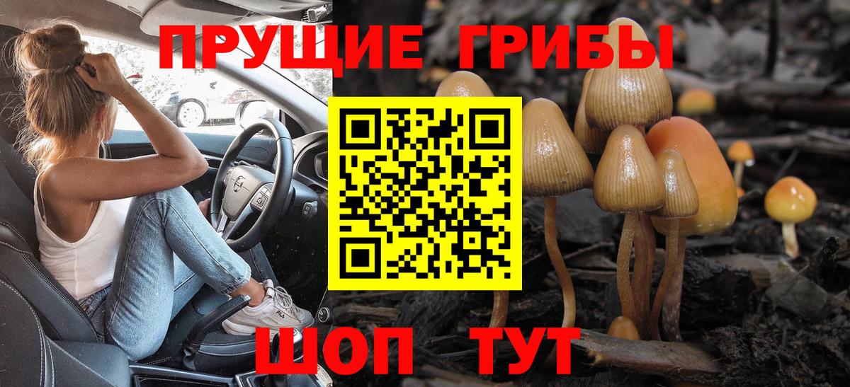 Протвино  закладка  Вход с VPN  Галлюциногенные грибы GOLDEN TEACHER 