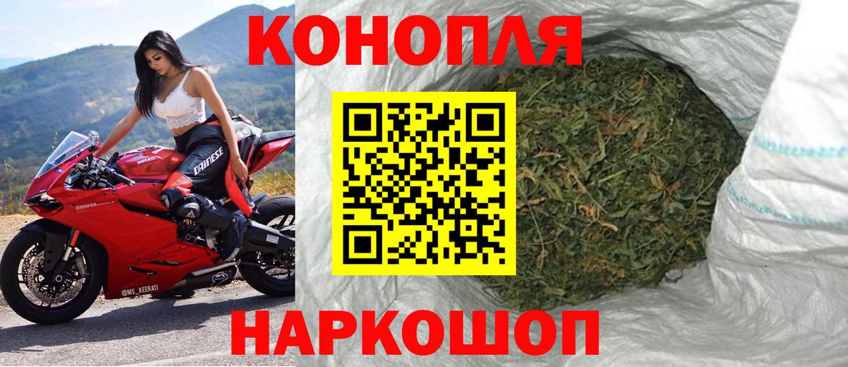Бошки марихуана конопля Протвино